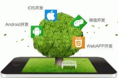 APP软件开发有什么需要调整的地方 APP软件开发有什么需要调整的地方