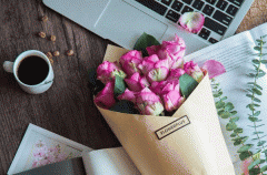 开发鲜花电商app支持发布花卉信息