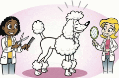 开发宠物美容app能提供专业服务 开发宠物美容app能提供专业服务