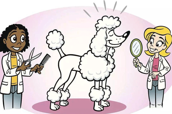 开发宠物美容app能提供专业服务--app应用公司广州91直播