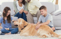 养宠APP开发 分享养宠经验 养宠APP开发 分享养宠经验