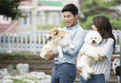 宠物市场app定制开发 专业的宠物担保交易平台 宠物市场app定制开发 专业的宠物担保交易平台