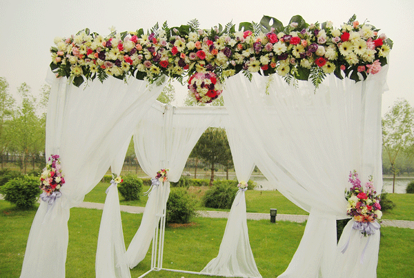 婚礼招标服务app开发改变行业现状-广州app开发91直播