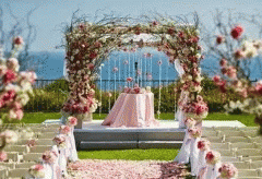 婚庆礼仪app开发为用户提供个性化婚礼定制服务 婚庆礼仪app开发为用户提供个性化婚礼定制服务