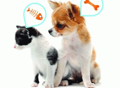 宠物手机应用开发随时记录成长