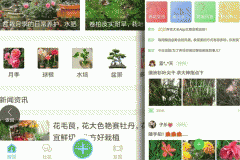 软件开发花友交流app 养花种草经验交流专属社区