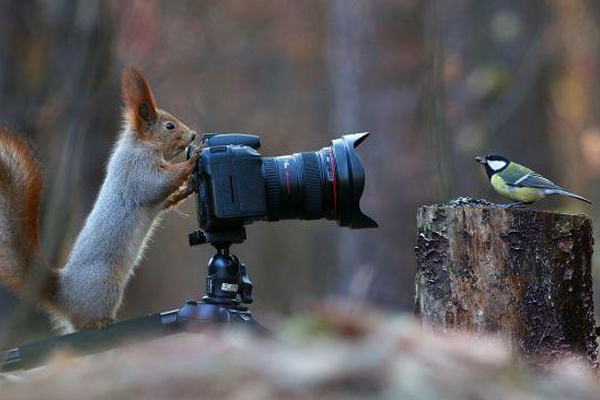 预约摄影APP制作-- app外包公司广州91直播