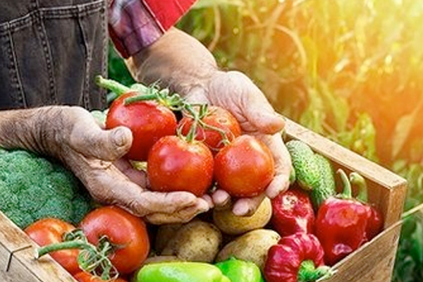 开发助农APP--广州app定制公司91直播