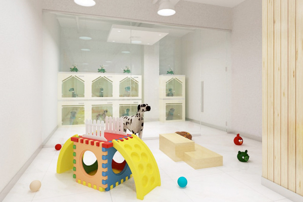 宠物托管app定制由专业的护理人员会全程照顾宠物