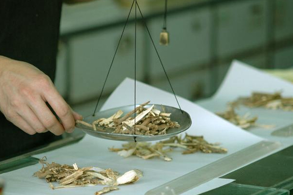 中药app制作软件为用户提供便捷的中药知识和服务--广州定制app开发91直播