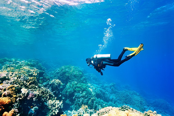 制作软件潜水APP为潜水爱好者提供便利和安全保障--开发app公司广州91直播