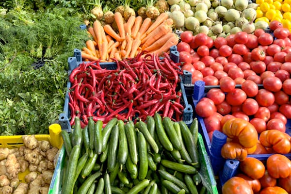 蔬菜货源App开发功能详解:高效采购批发与智能配送一体化解决方案