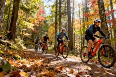 户外运动APP定制开发全攻略:2026年最值得关注的5大方向 户外运动APP定制开发全攻略:2026年最值得关注的5大方向